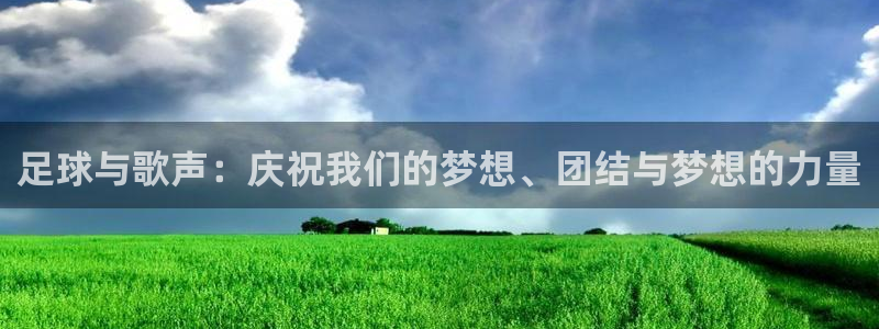 世界杯比赛:足球与歌声:庆祝我们的梦想、团结与梦想的力量