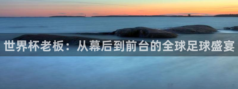 英足总杯直播:世界杯老板:从幕后到前台的全球足球盛宴