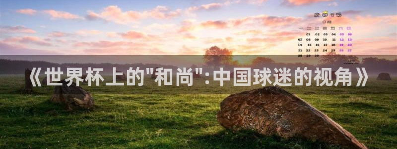 2026世界杯:《世界杯上的\