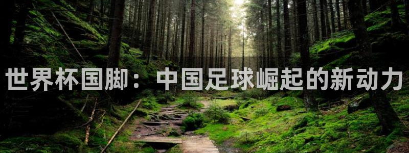 国际足联世界杯:世界杯国脚:中国足球崛起的新动力
