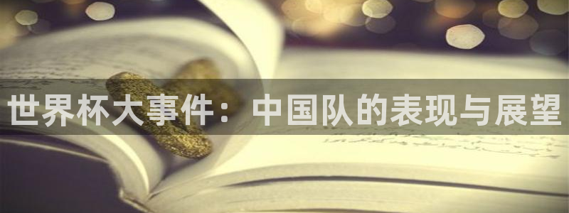 世界杯预选赛规则:世界杯大事件:中国队的表现与展望