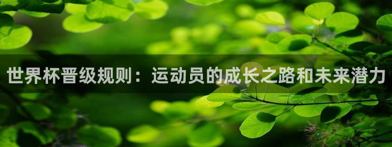 足球世预赛:世界杯晋级规则:运动员的成长之路和未来潜力
