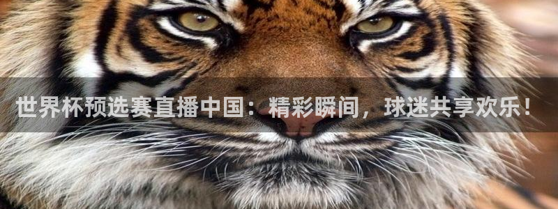 世界杯直播时间:世界杯预选赛直播中国:精彩瞬间,球迷共享欢乐!