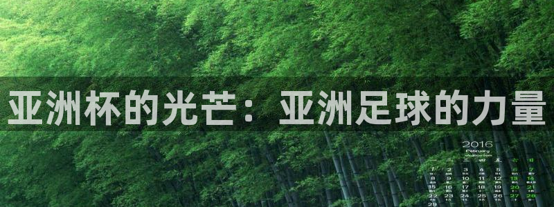 今年世界杯:亚洲杯的光芒:亚洲足球的力量