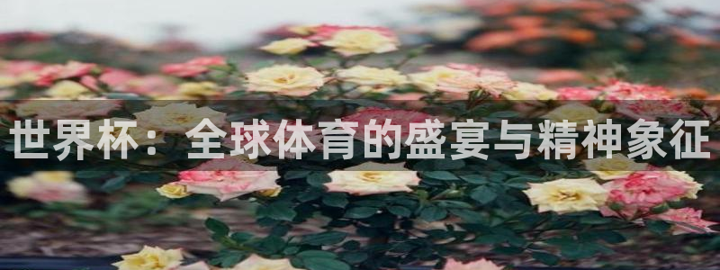 世界杯 中国:世界杯:全球体育的盛宴与精神象征